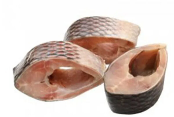 سمك بنقش 10 كيلو