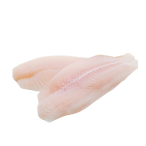 سمك فيلية 10 كيلو