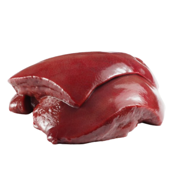 كبدة بقر مجمد