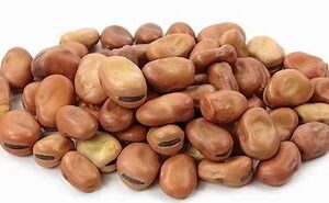 فول حب مصري 15 كجم حبة كبيرة